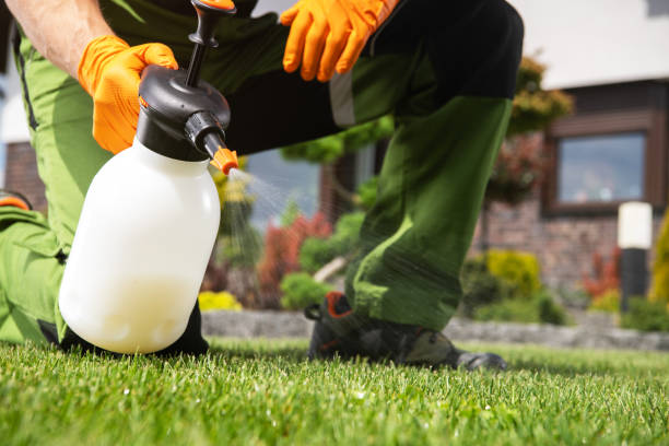 Best Ant Control Services  in Lantana, TX