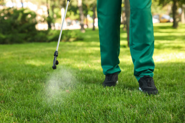 Best Bed Bug Extermination  in Lantana, TX