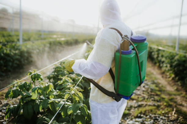 Best Flea Control Services  in Lantana, TX